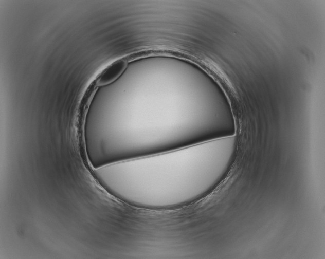 X0000110971068200906191106