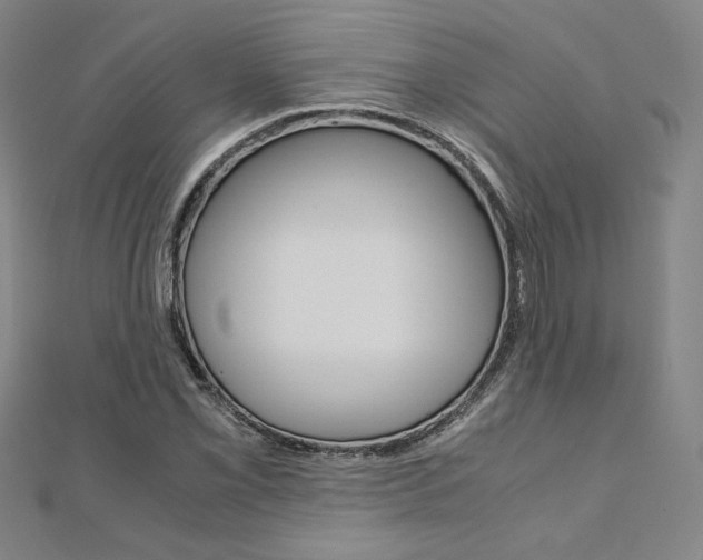 X0000110971069200906191106