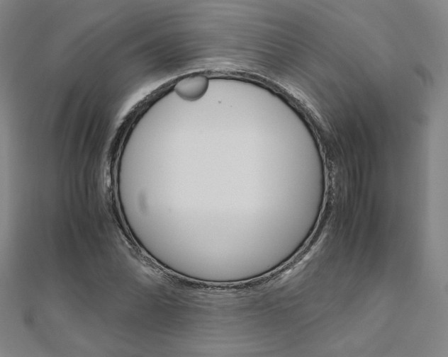 X0000110971070200906191106