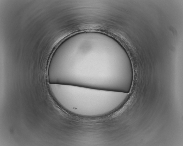 X0000110971073200906191106