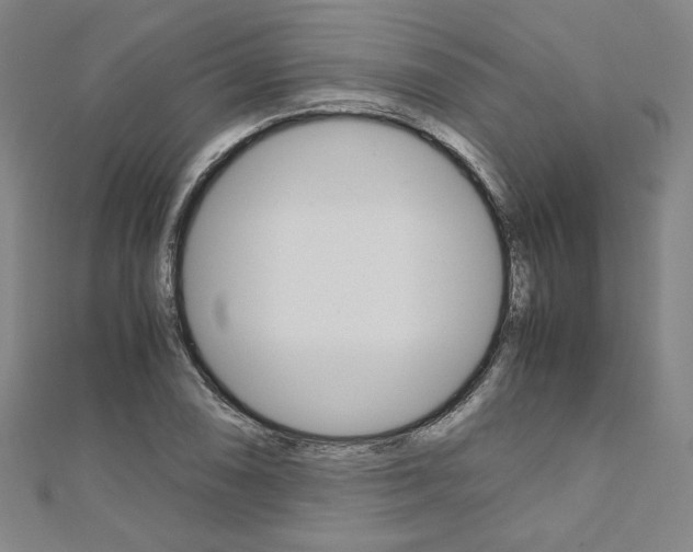 X0000110971074200906191106
