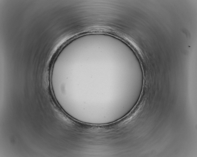 X0000110971075200906191106