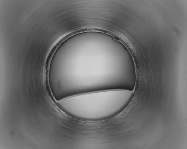 X0000110971076200906191106