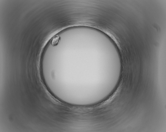 X0000110971077200906191106