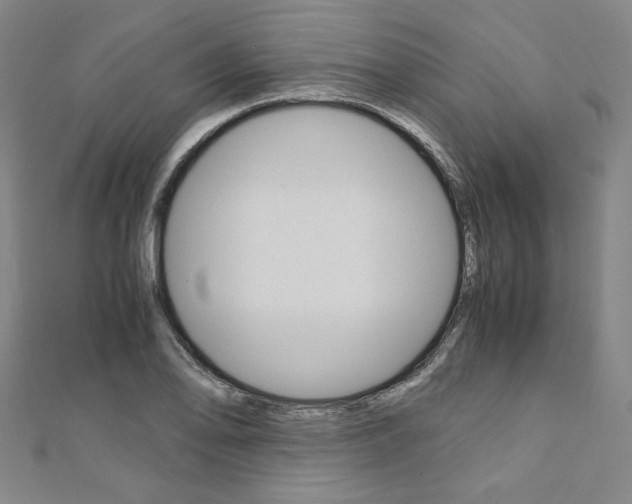 X0000110971078200906191106
