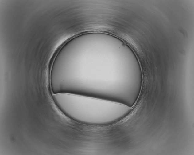 X0000110971079200906191106