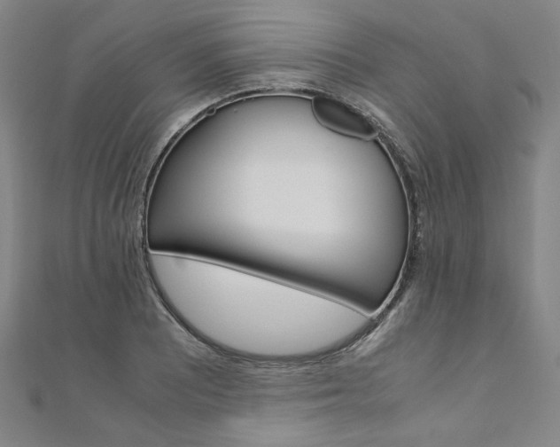 X0000110971081200906191106