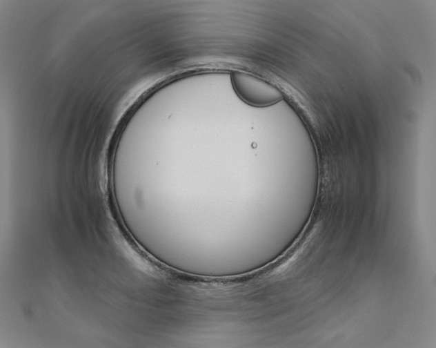 X0000110971082200906191106
