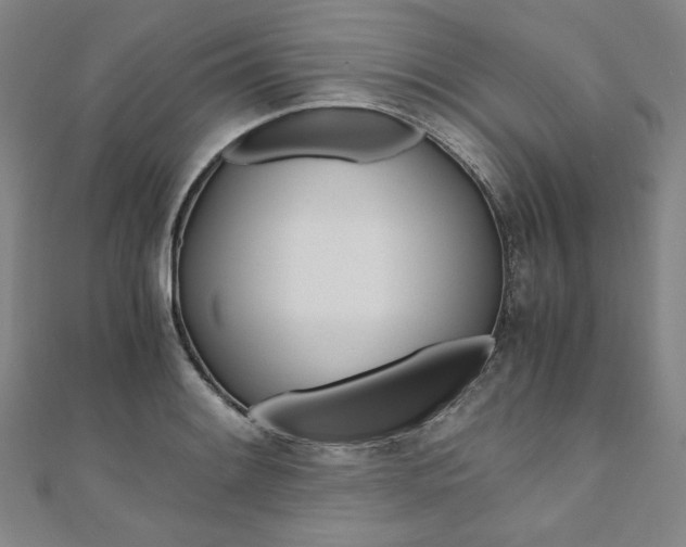 X0000110971084200906191106