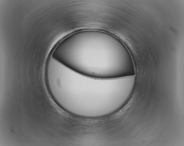 X0000110971085200906191106
