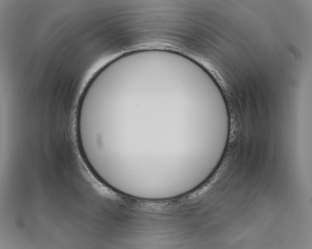 X0000110971086200906191106
