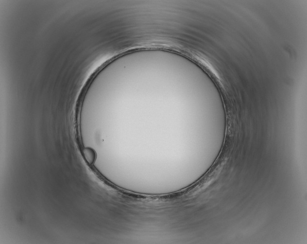 X0000110971087200906191105