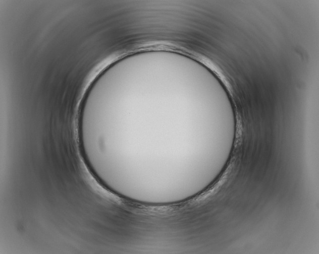 X0000110971090200906191105