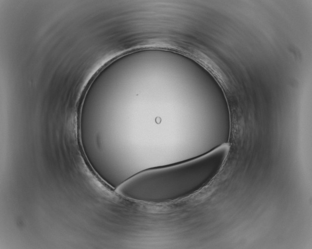 X0000110971092200906191105