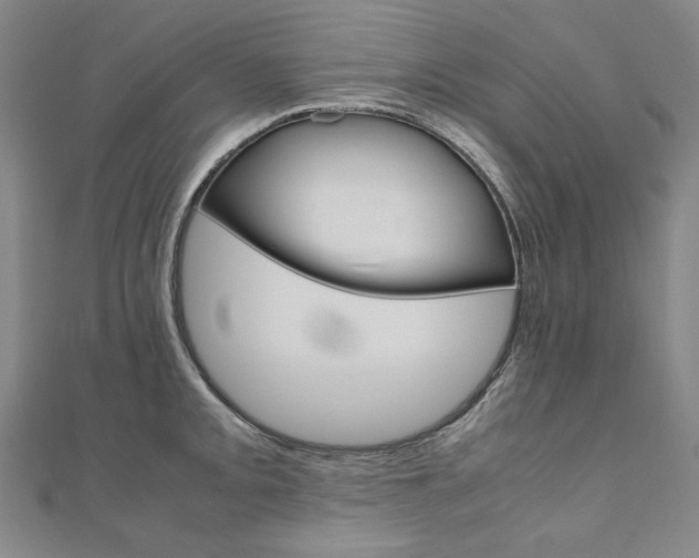 X0000110971093200906191105