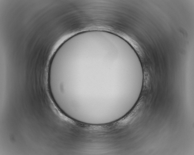 X0000110971094200906191105