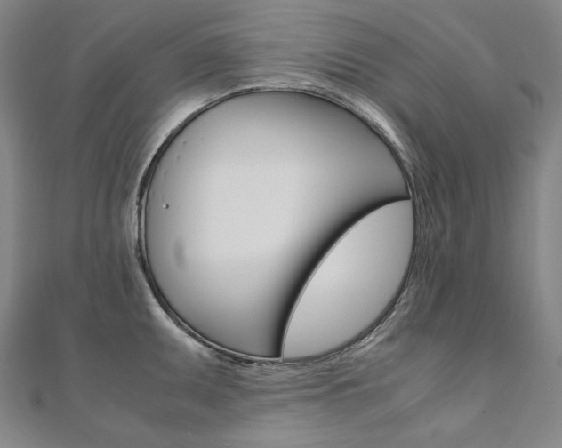 X0000110971095200906191105