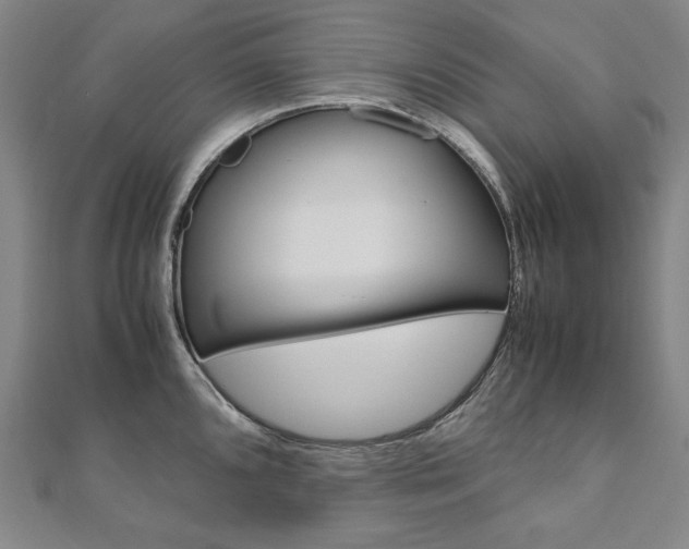 X0000110971096200906191105