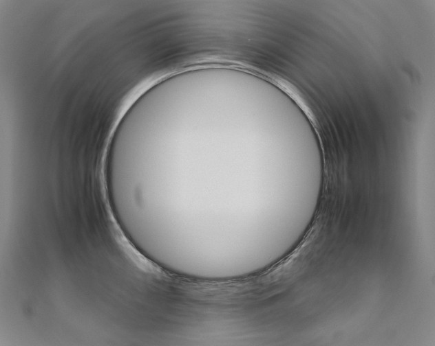 X0000110971098200906191105