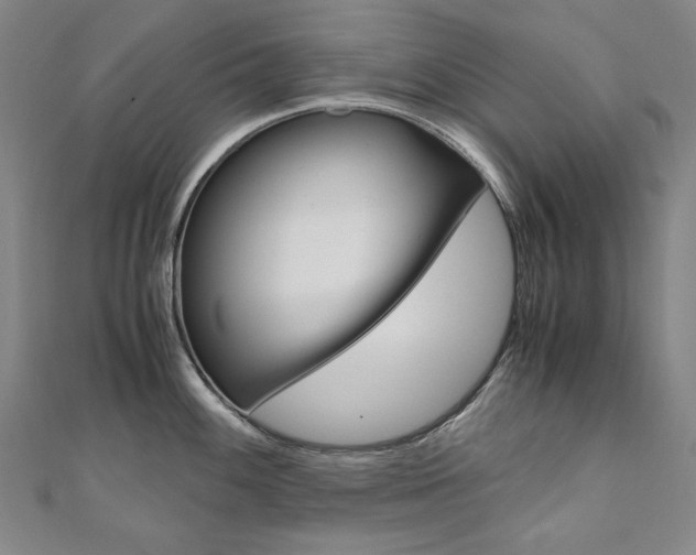 X0000110971100200906191105