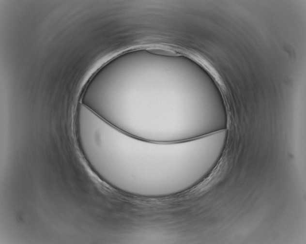 X0000110971101200906191105