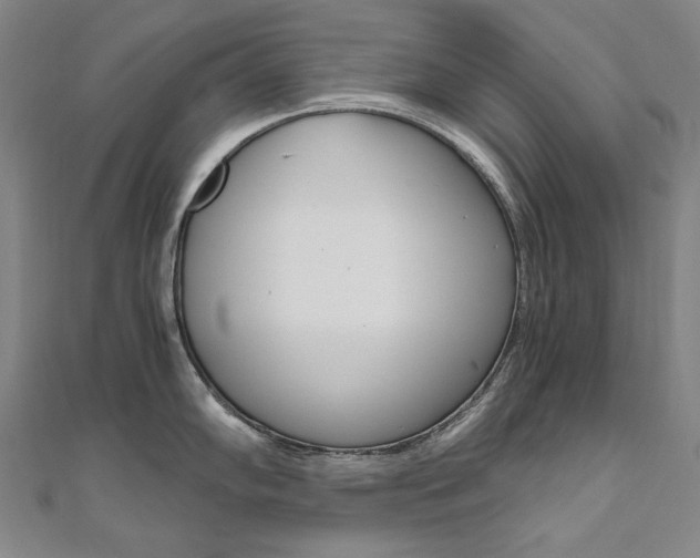 X0000110971102200906191105