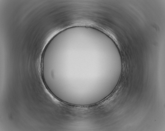 X0000110971103200906191105