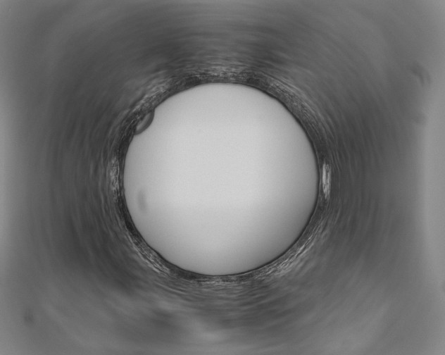 X0000110971107200906191105