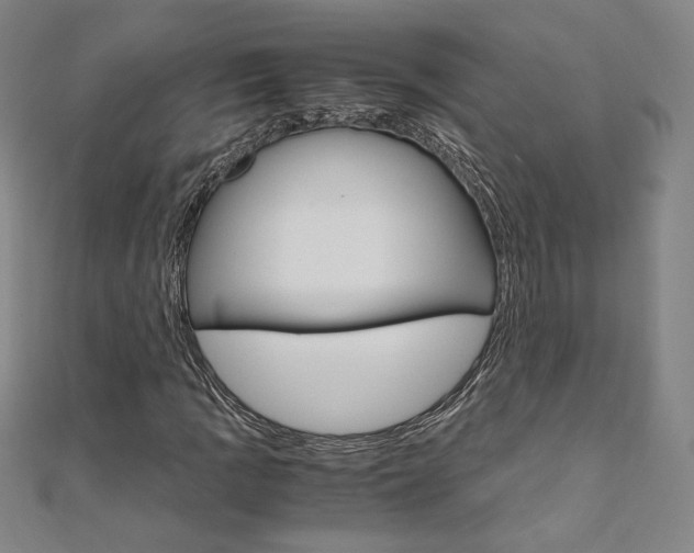 X0000110971109200906191105