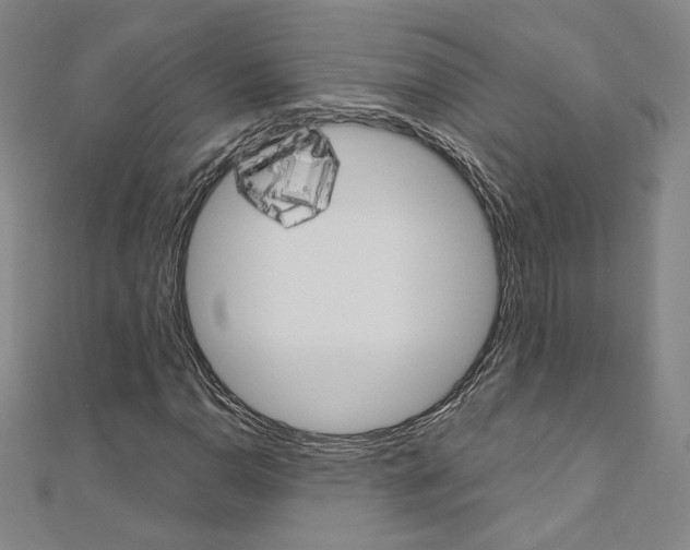 X0000110971110200906191105