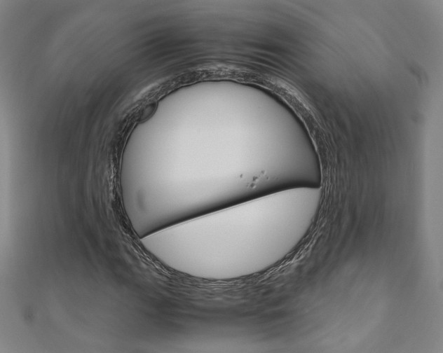 X0000110971111200906191105