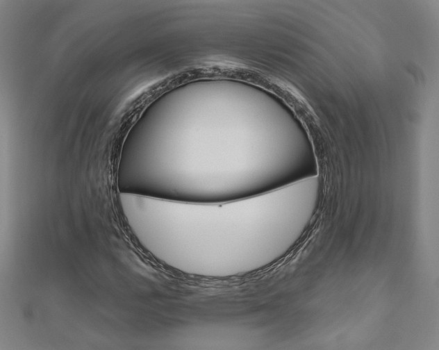 X0000110971112200906191105