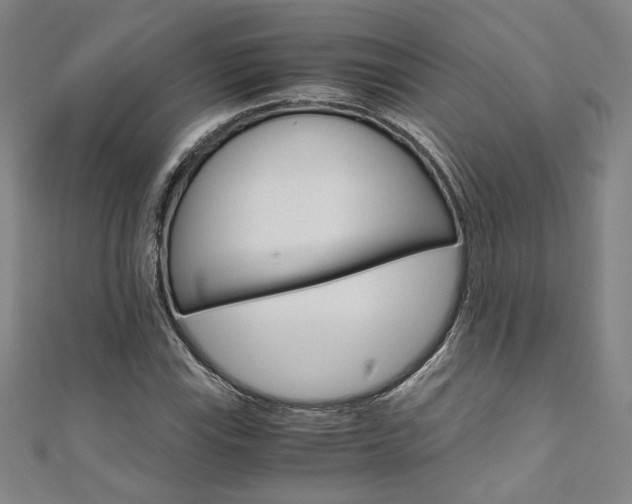 X0000110971115200906191105