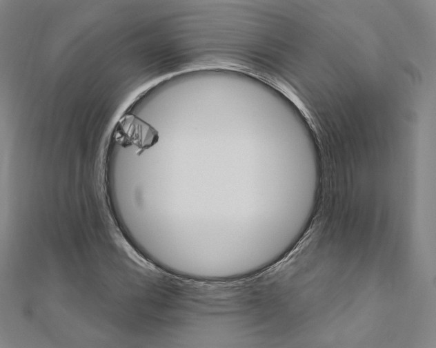 X0000110971116200906191105