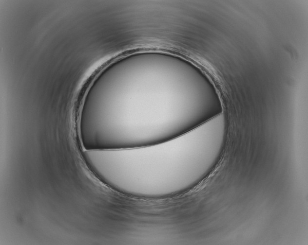 X0000110971120200906191105