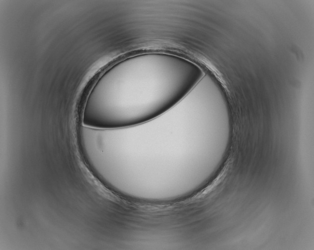 X0000110971122200906191105