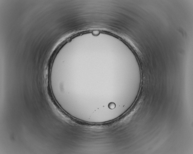 X0000110971126200906191105