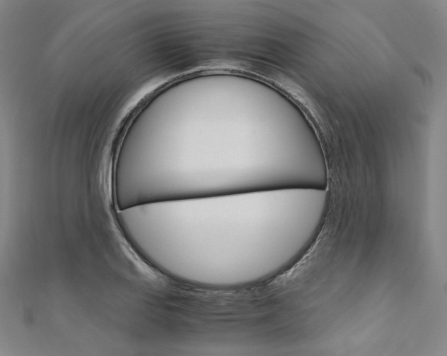 X0000110971127200906191105