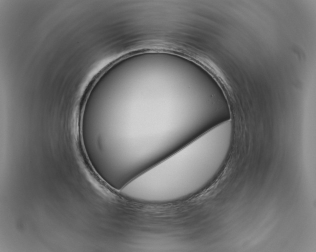 X0000110971128200906191105
