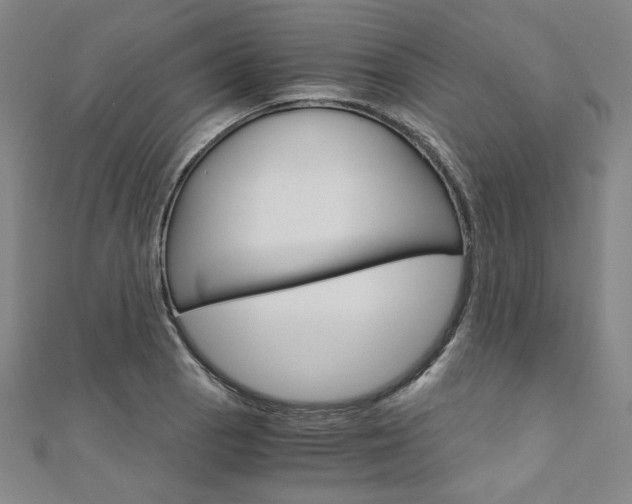 X0000110971129200906191105