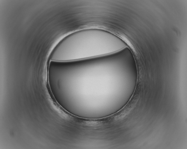 X0000110971132200906191105