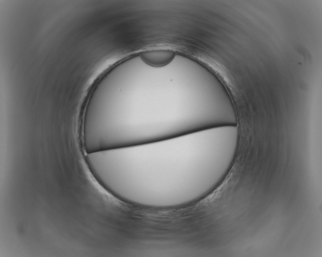 X0000110971135200906191105