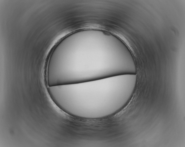 X0000110971139200906191105