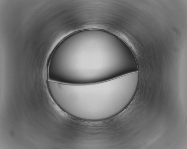 X0000110971140200906191105