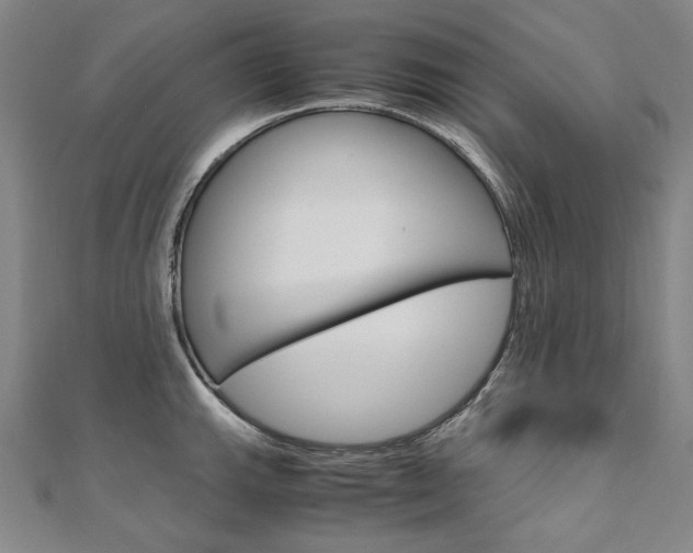 X0000110971143200906191105