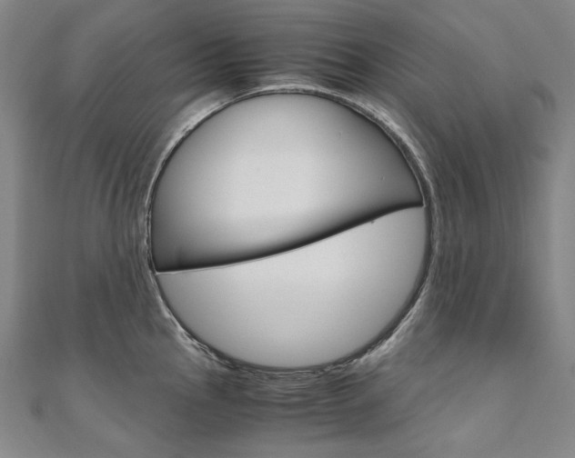 X0000110971145200906191105