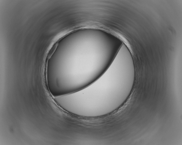 X0000110971146200906191105