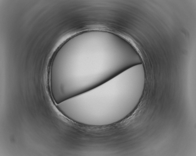 X0000110971147200906191105