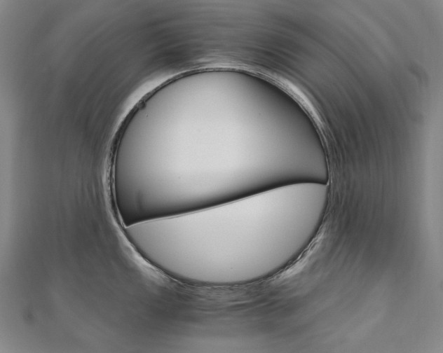 X0000110971149200906191105