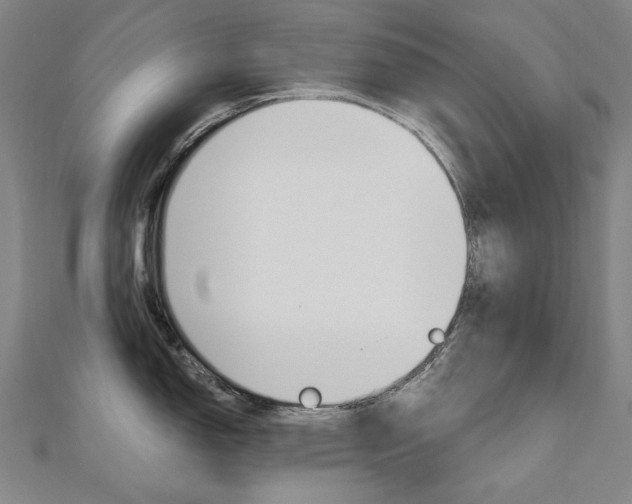 X0000110971150200906191105